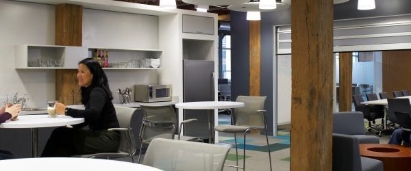 Illinois Contemporary Garage Door