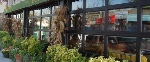 Montana Glass Garage Doors