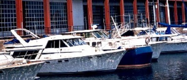 Corrosion Resistant Overhead Sectional Doors for Michigan Boat Houses