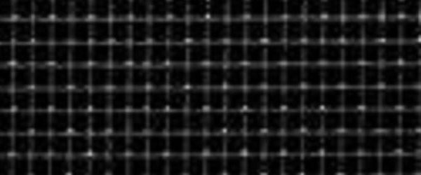 Increasing Air Flow for Roll Up Garage Doors in Arizona