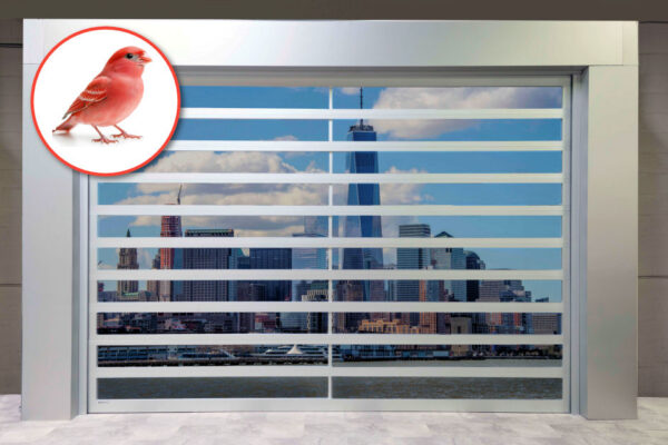 Make Your Building Bird-Friendly with ArmRLite’s Glass Solutions